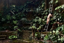 Người trẻ chơi lớn, mang cả "rừng cây, thác nước" vào nhà