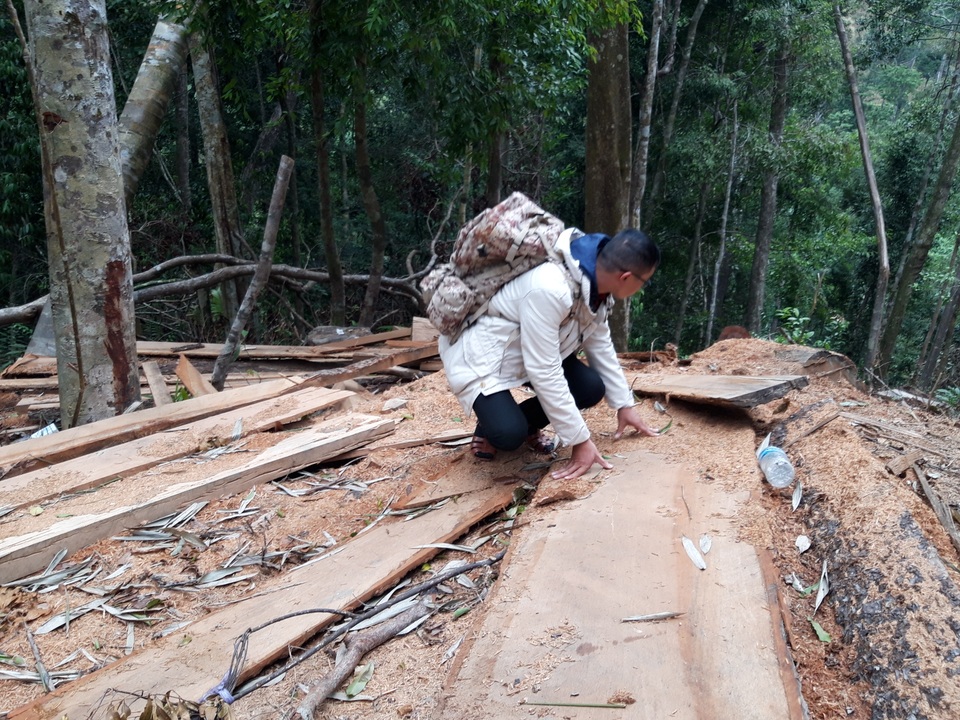 Núp bóng lấy gỗ làm nhà, lâm tặc mở “công trường khai thác gỗ tại Kon Tum! - 6 Núp bóng lấy gỗ làm nhà, lâm tặc mở “công trường khai thác gỗ tại Kon Tum! - 6