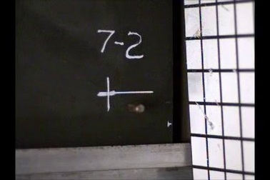 Clip bọt xốp mỏng dính chặn đứng đạn xuyên giáp