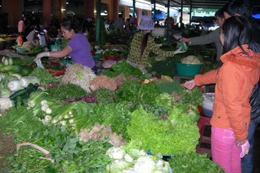 Rau quả Trung Quốc "đội lốt" hàng Việt ngập chợ, siêu thị