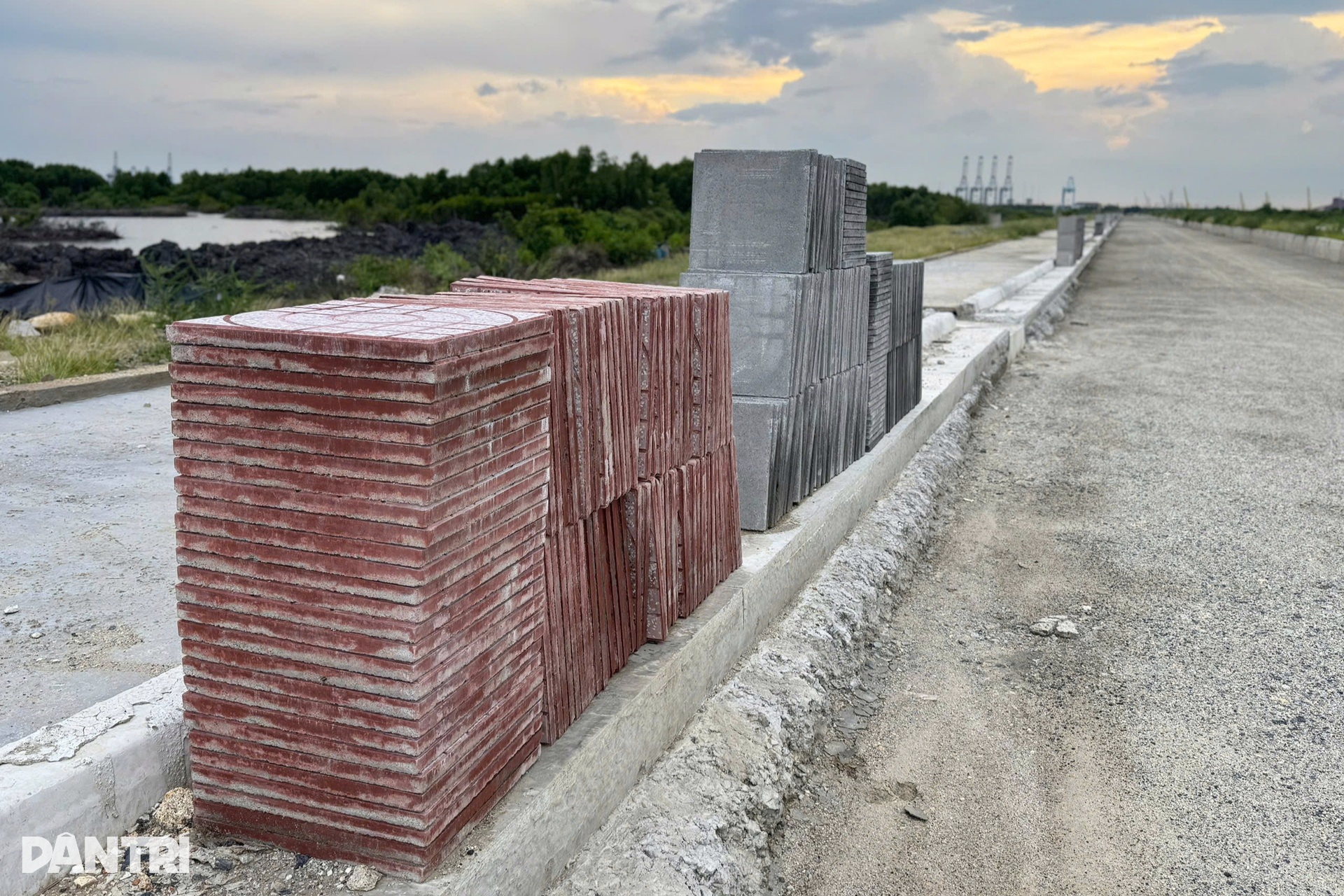 Ngắm đường gần 4.000 tỷ đồng xuyên rừng ngập mặn vào cảng Cái Mép - Thị Vải - 9