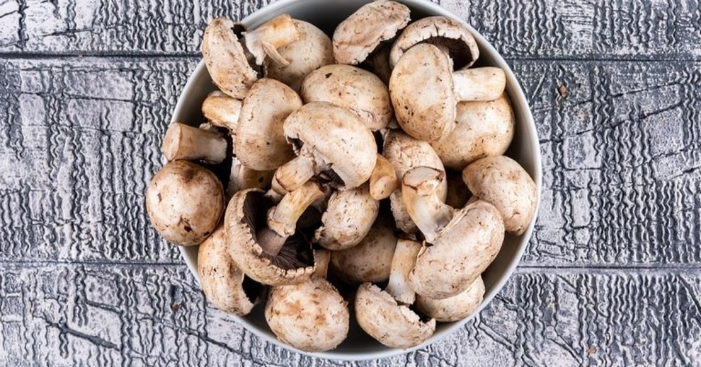 Những lợi ích của việc ăn nấm thường xuyên - 1 Những lợi ích của việc ăn nấm thường xuyên - 1