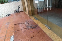 Một gia đình bất ngờ bị ném chất bẩn vào nhà