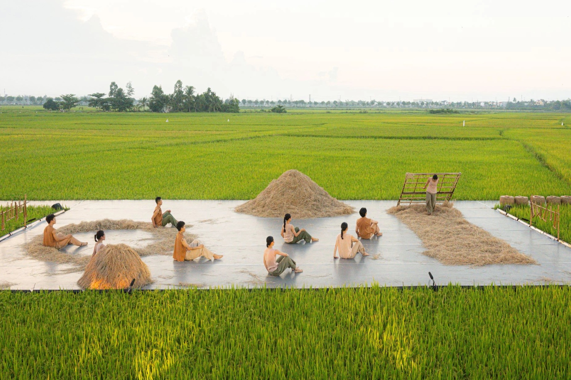 View - Múa đương đại giữa cánh đồng lúa chín vàng Hội An | Báo Dân trí