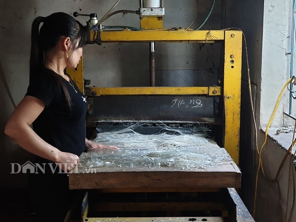 Điện Biên: Phất lên từ nghề làm miến dong ngon nức tiếng - 3 Điện Biên: Phất lên từ nghề làm miến dong ngon nức tiếng - 3