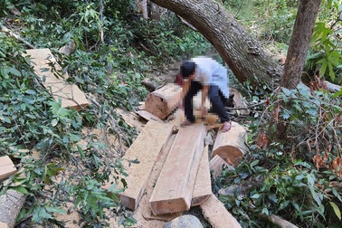 Khởi tố vụ cả đoàn xe độ chế rầm rập tiến vào phá nát rừng xanh Tây Nguyên