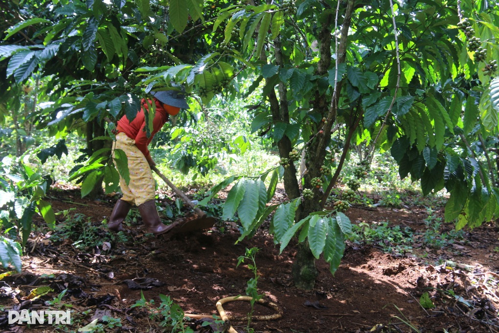 Bố đột ngột qua đời, hai anh em trọ học trong căn phòng 15m2 - 5 Bố đột ngột qua đời, hai anh em trọ học trong căn phòng 15m2 - 5