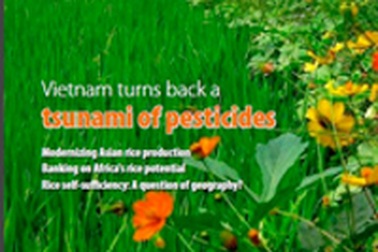 Quay lưng với thuốc trừ sâu – Thành tựu nổi bật của sản xuất lúa gạo Việt Nam