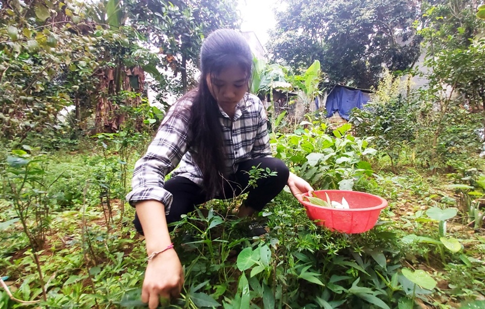 Nữ sinh lớp 10 và những nỗi đau tận cùng, không còn nước mắt để khóc! - 6 Nữ sinh lớp 10 và những nỗi đau tận cùng, không còn nước mắt để khóc! - 6