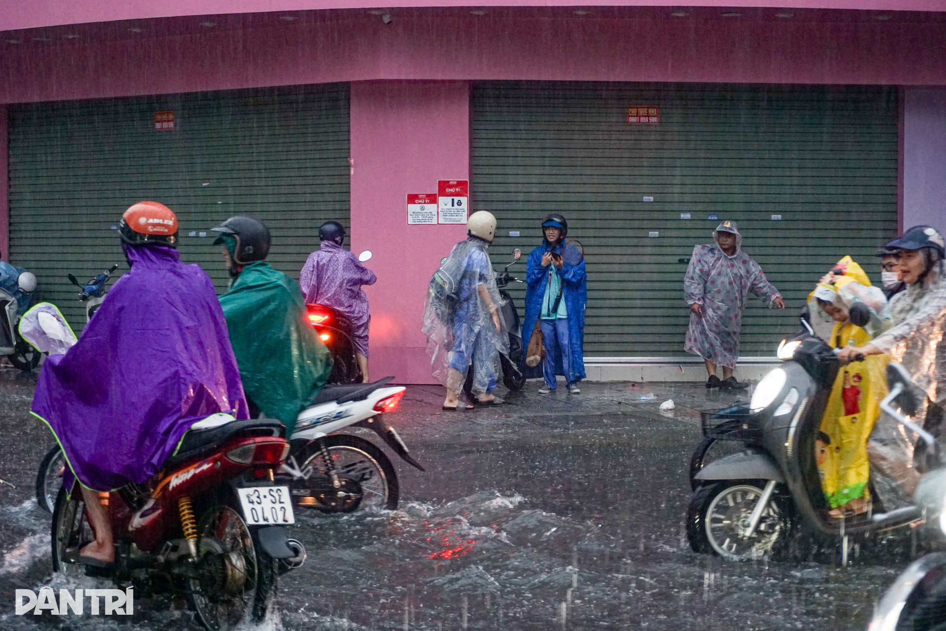 Đà Nẵng mưa trắng trời, đường phố mênh mông nước - 6 Đà Nẵng mưa trắng trời, đường phố mênh mông nước - 6
