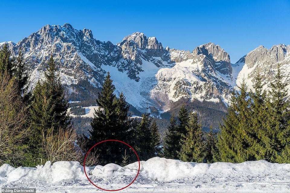 Bạn có nhìn thấy người mẫu khỏa thân trong ảnh này? - 20 Bạn có nhìn thấy người mẫu khỏa thân trong ảnh này? - 20