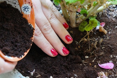 Những công dụng “không tưởng” của bã cà phê khiến bạn bất ngờ