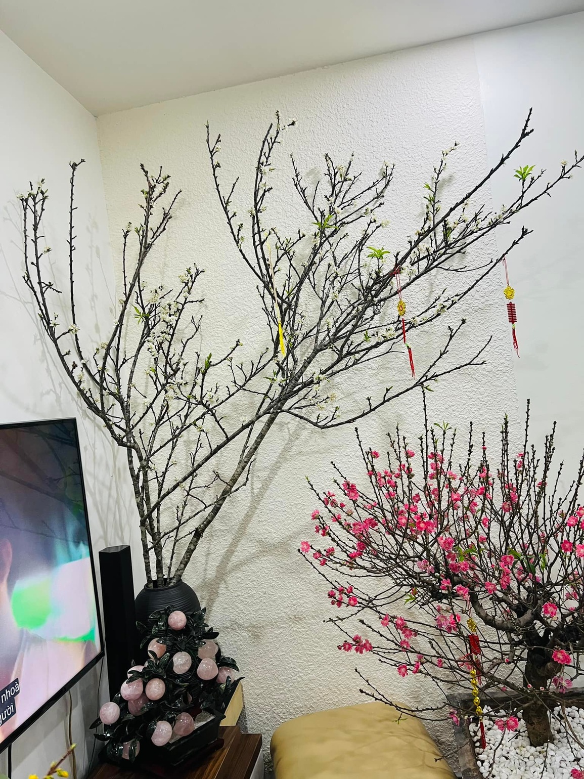 Biệt thự, nhà riêng của sao Việt trang hoàng rực rỡ đón Tết Nhâm Dần - 7 Biệt thự, nhà riêng của sao Việt trang hoàng rực rỡ đón Tết Nhâm Dần - 7