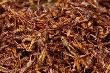 Nam thanh niên nhập viện cấp cứu sau khi ăn châu chấu rang