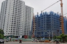 Địa chỉ mới cung cấp thông tin bất động sản tin cậy cho người mua