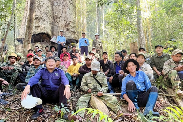 Trăm người thay nhau ngủ rừng canh giữ "cột chống trời"