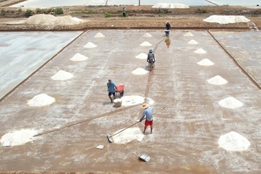 Festival muối kỳ vọng nâng giá trị cho nghề truyền thống "sợ nhất trời mưa"