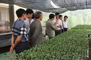 Phó Thủ tướng Vũ Đức Đam: Xóa bỏ tình trạng “rau hai luống, lợn hai chuồng”