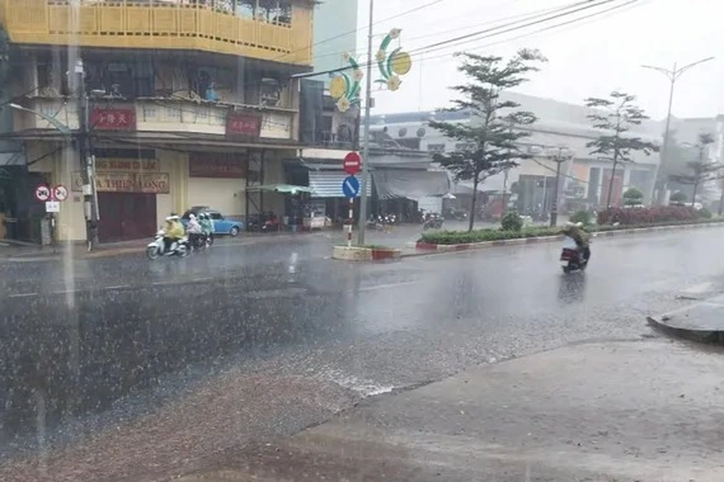 Những trận mưa vàng ở Gia Lai giúp giải nhiệt, cứu cây trồng khỏi khô hạn - 3 Những trận mưa vàng ở Gia Lai giúp giải nhiệt, cứu cây trồng khỏi khô hạn - 3