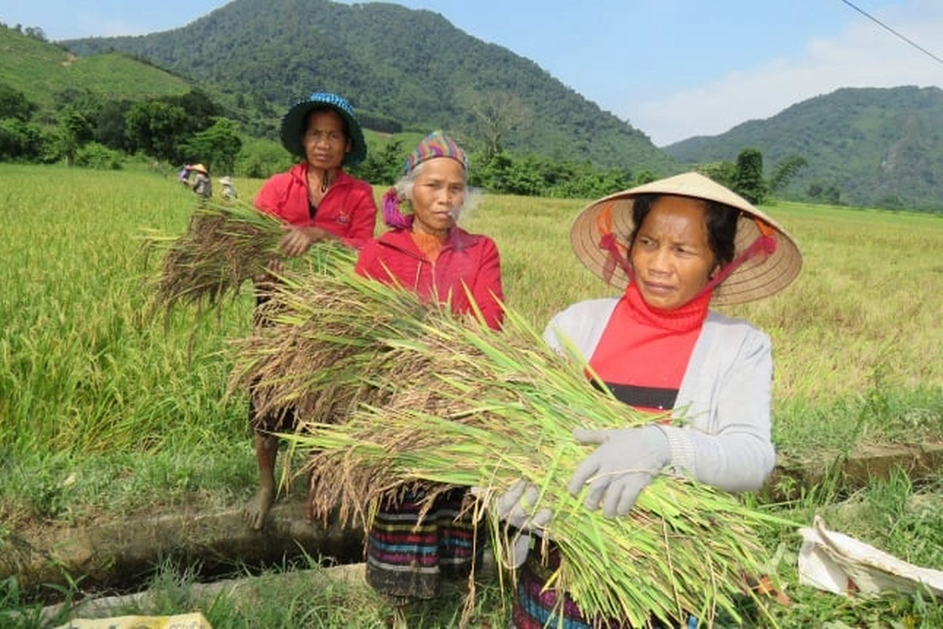 Chung tiền mua trâu, dê làm vật hiến sinh tổ chức lễ hội - 2