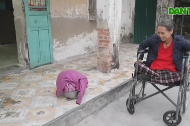 Nghẹn lòng cảnh con gái liệt ngồi xe lăn chăm sóc mẹ già 93 tuổi