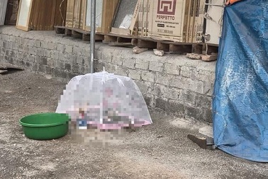 Hà Nội: Điều tra một thi thể bé sơ sinh trong túi ni lông