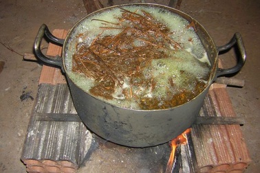 Loại thuốc gây ảo giác mới có thể làm dịu triệu chứng trầm cảm và nghiện rượu?