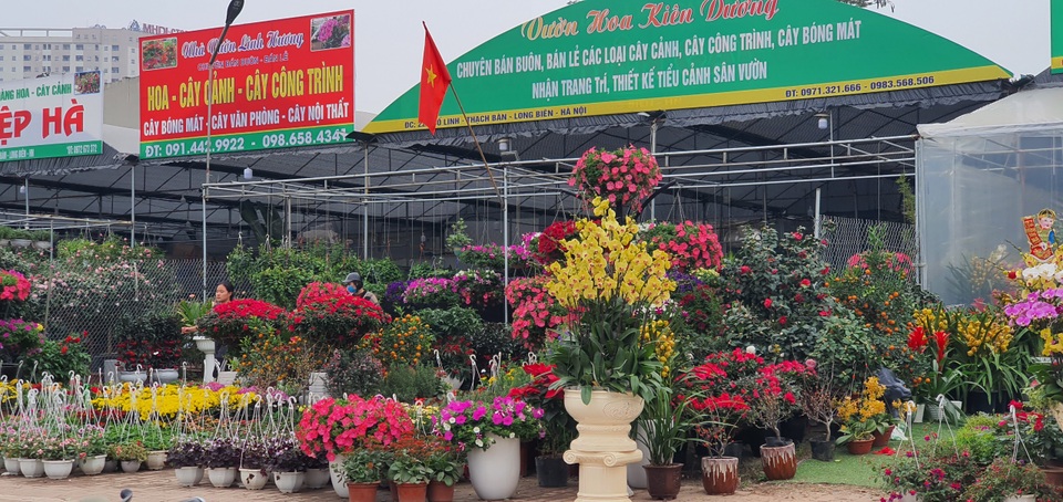 Hà Nội: Hoa đào bung nụ, tiểu thương bán hoa muốn đánh nhanh rút gọn - 2 Hà Nội: Hoa đào bung nụ, tiểu thương bán hoa muốn đánh nhanh rút gọn - 2