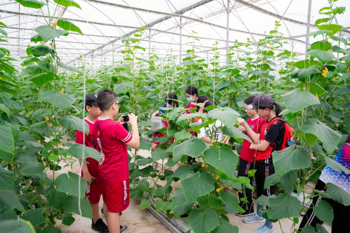 Khám phá Hành trình nông sản sạch tại WinEco Tam Đảo - 8 Khám phá Hành trình nông sản sạch tại WinEco Tam Đảo - 8