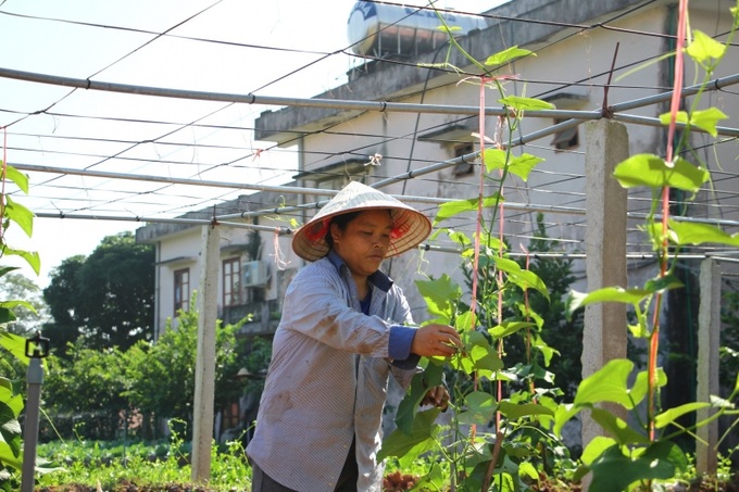 Các bệnh nhân tham gia trồng cây xanh giúp tăng cường sức khỏe,