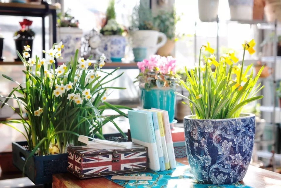 Người chồng tặng vợ nhà vườn 1.000 m2 tuyệt đẹp nhân dịp sinh nhật - 8 Người chồng tặng vợ nhà vườn 1.000 m2 tuyệt đẹp nhân dịp sinh nhật - 8