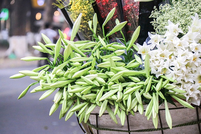 Hà Nội trong sắc trắng tinh khôi của hoa loa kèn - Ảnh 1. Hà Nội trong sắc trắng tinh khôi của hoa loa kèn - Ảnh 1.