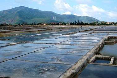 Diêm dân lo quay quắt vì muối rớt giá