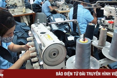 Thấy gì từ thực tế lao động lớn tuổi bị ép nghỉ việc?