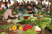 Thực phẩm bẩn vẫn đổ về Hà Nội hàng ngày