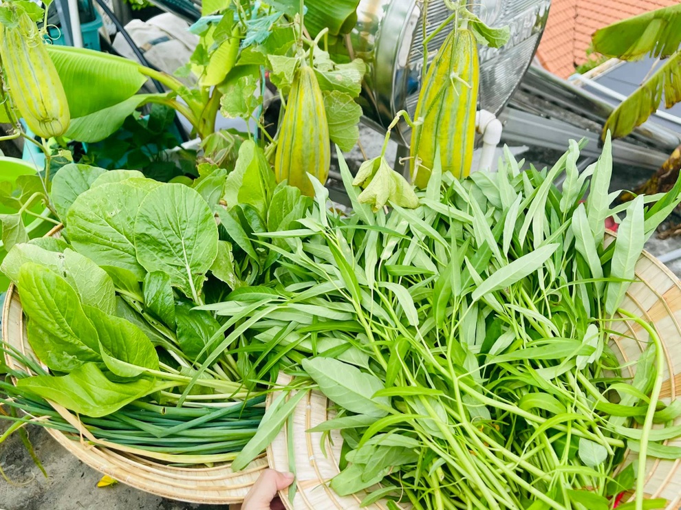 Vợ chồng tại TPHCM biến nóc nhà thành siêu thị nông sản ngập rau trái - 14