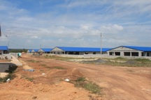 Cục Cảnh sát Môi trường vào cuộc vụ trại heo “khủng” ở đầu nguồn nước sạch