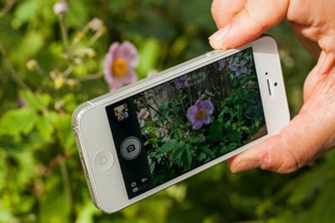 iPhone 5S sẽ có máy ảnh 12 megapixel?