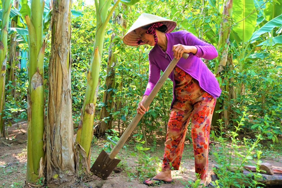 Quê nghèo thay da đổi thịt nhờ xuất khẩu lao động - 3 Quê nghèo thay da đổi thịt nhờ xuất khẩu lao động - 3