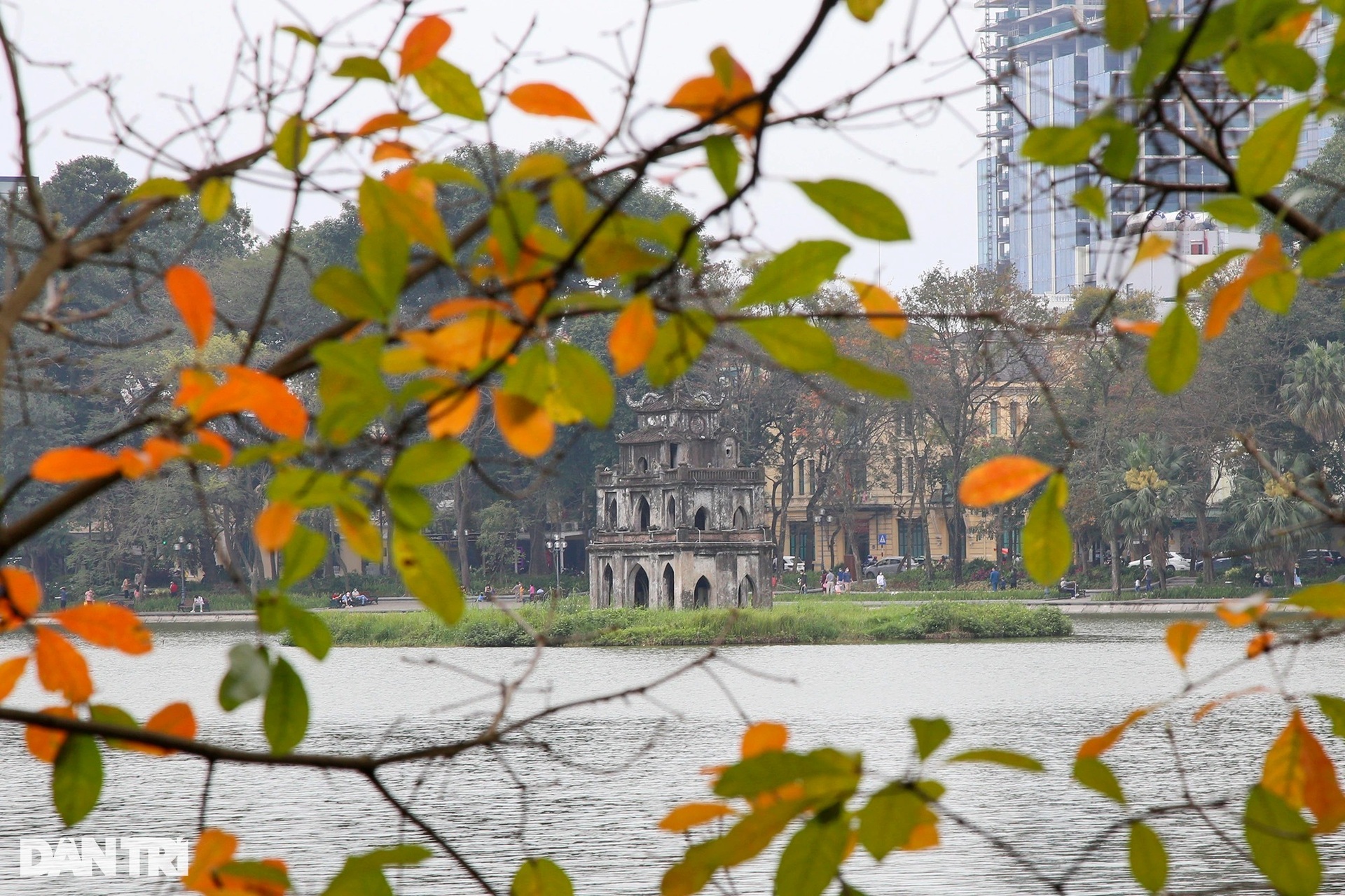 Hà Nội vàng rực trong mùa cây thay lá, giới trẻ đổ xô đi chụp ảnh - 4 Hà Nội vàng rực trong mùa cây thay lá, giới trẻ đổ xô đi chụp ảnh - 4