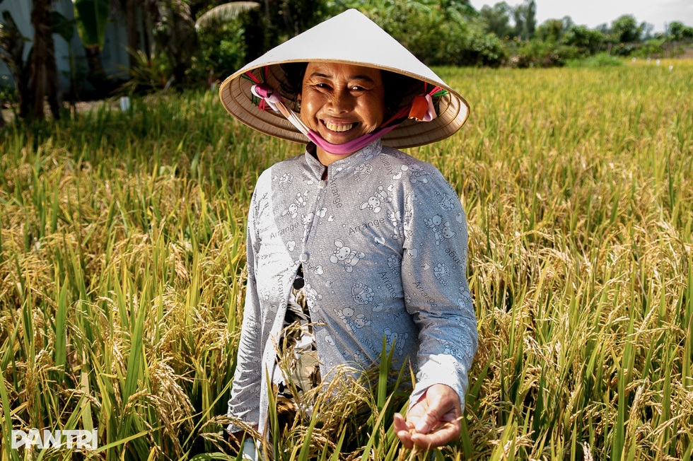 Bạn ăn cơm chưa?- Câu hỏi của Bộ trưởng và lời đáp bất ngờ từ Giám đốc WB - 3 Bạn ăn cơm chưa?- Câu hỏi của Bộ trưởng và lời đáp bất ngờ từ Giám đốc WB - 3