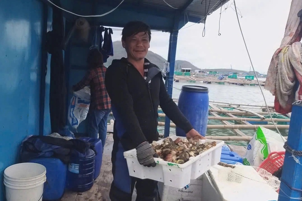 Nước mắt vịnh tôm hùm và những vụ mùa tiền tỷ đặt cược vào ông trời - 1 Nước mắt vịnh tôm hùm và những vụ mùa tiền tỷ đặt cược vào ông trời - 1