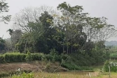 Đôi nam nữ tử vong tại lều trông cá