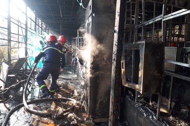 “Bà hoả” thiêu rụi khu nuôi cấy sâm ngọc linh