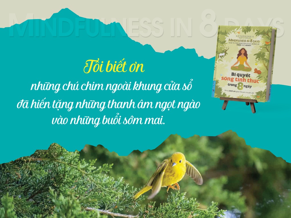Bí quyết sống tỉnh thức trong 8 ngày - Sách hay về thiền chánh niệm - 1 Bí quyết sống tỉnh thức trong 8 ngày - Sách hay về thiền chánh niệm - 1