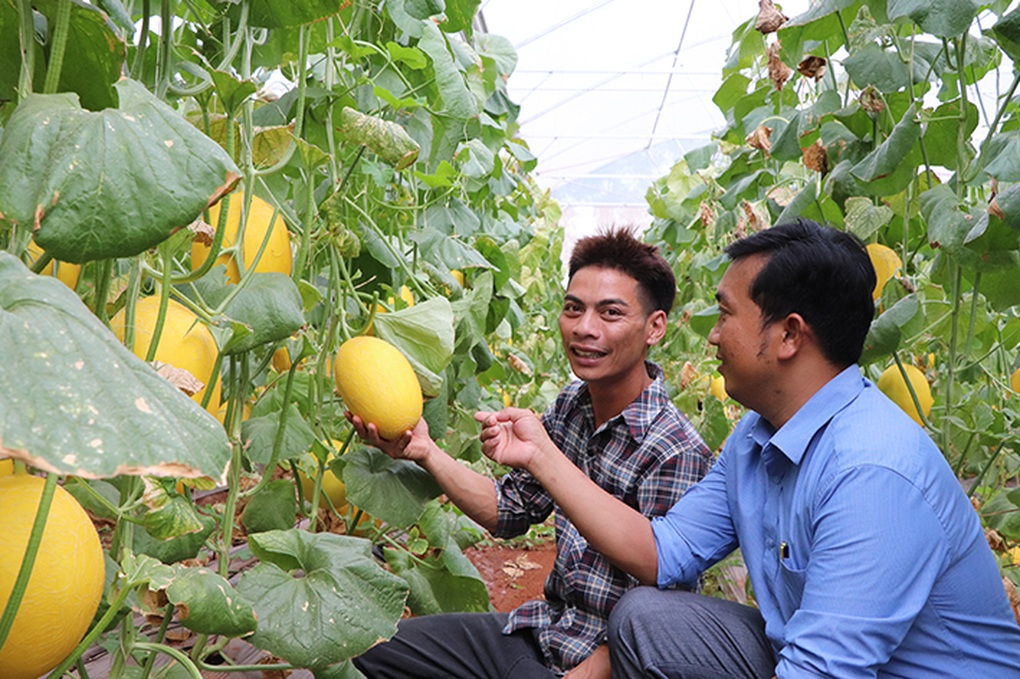 Bà Rịa - Vũng Tàu: Không còn hộ nghèo theo chuẩn quốc gia - 1 Bà Rịa - Vũng Tàu: Không còn hộ nghèo theo chuẩn quốc gia - 1