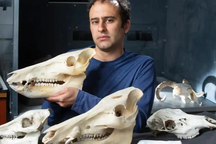 Loài người đang bị teo nhỏ vì nguyên nhân đáng sợ?