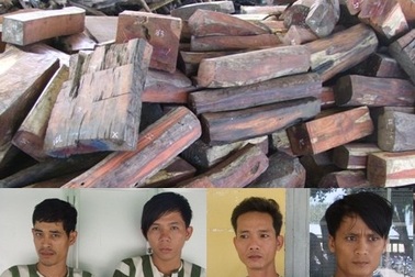  Bắt 4 đối tượng vận chuyển gỗ lậu qua biên giới