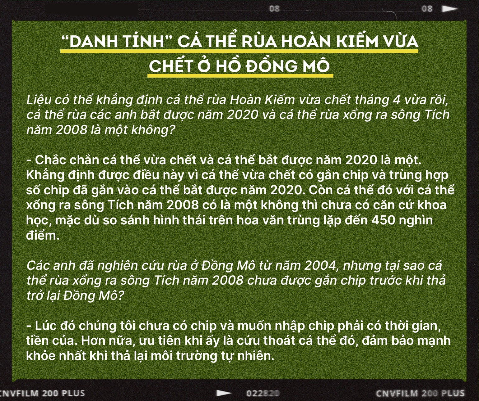 Cá thể rùa 150kg ở Đồng Mô từng dìm thuyền của chúng tôi chúi xuống nước - 11 Cá thể rùa 150kg ở Đồng Mô từng dìm thuyền của chúng tôi chúi xuống nước - 11