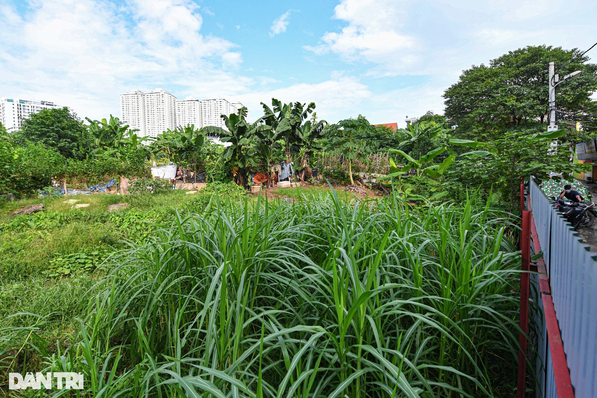 Cận cảnh những ô đất Hà Nội quyết đòi để xây trường, xóa cảnh bốc thăm - 6 Cận cảnh những ô đất Hà Nội quyết đòi để xây trường, xóa cảnh bốc thăm - 6